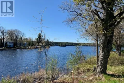 62 Fire Route 94 Trent Lakes ON K0M 1A0