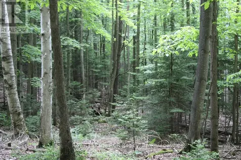 Concession 14 Road Georgian Bluffs ON N0H 1P0