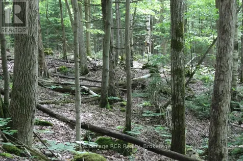 Concession 14 Road Georgian Bluffs ON N0H 1P0