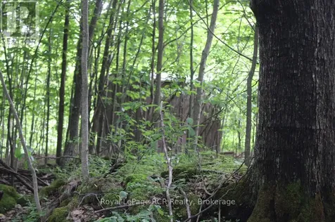 Concession 14 Road Georgian Bluffs ON N0H 1P0