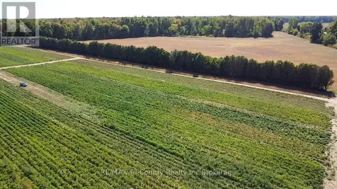1225 1st Concession Enr Road Norfolk ON N0E 1G0