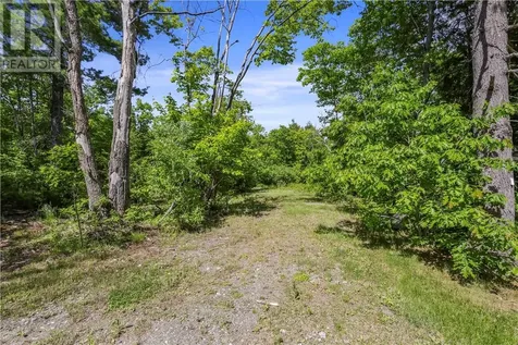 0 Moose Lake & Fox Lake Road Massey ON P0P 1P0