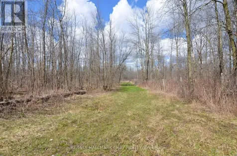 6280 County Road 15 Adjala-tosorontio ON L0M 1J0