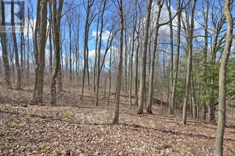 6280 County Road 15 Adjala-tosorontio ON L0M 1J0