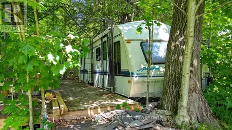 10 Birch Terrace Trent Lakes ON K0L 1J0