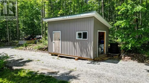 10 Birch Terrace Trent Lakes ON K0L 1J0