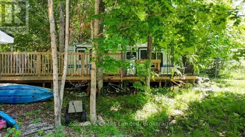 10 Birch Terrace Trent Lakes ON K0L 1J0