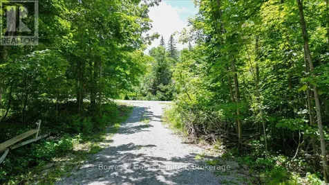 10 Birch Terrace Trent Lakes ON K0L 1J0