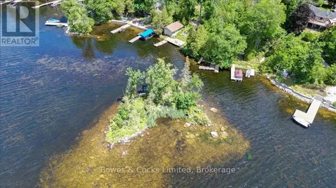 10 Birch Terrace Trent Lakes ON K0L 1J0
