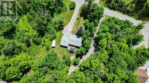 10 Birch Terrace Trent Lakes ON K0L 1J0