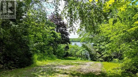 10 Birch Terrace Trent Lakes ON K0L 1J0
