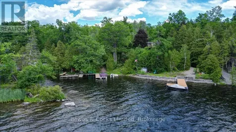 10 Birch Terrace Trent Lakes ON K0L 1J0