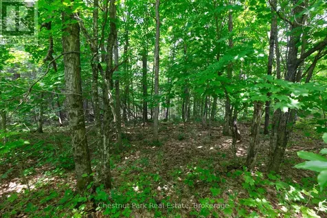Lot 78 141 Highway Seguin ON P0C 1J0