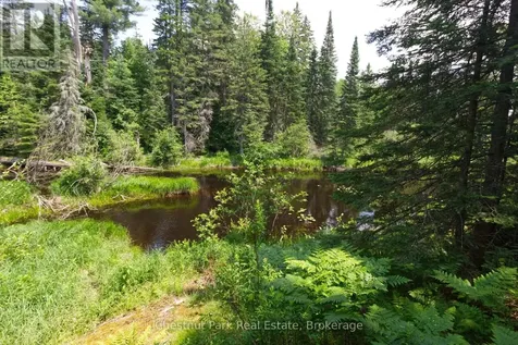 Lot 78 141 Highway Seguin ON P0C 1J0