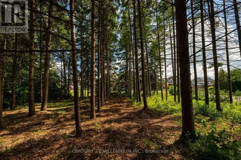 24 Buena Vista Drive Mono ON L9W 5K8