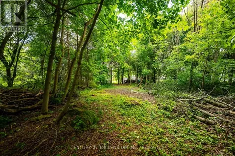 24 Buena Vista Drive Mono ON L9W 5K8