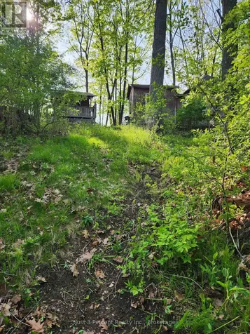 100 Cow Island Otonabee-south Monaghan ON K0B 1B0