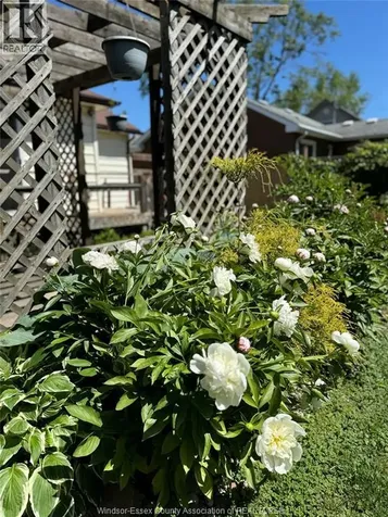 2163 Wellesley Avenue Windsor ON N8W 2E8