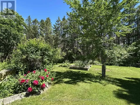 2756 County Road 38 Douro-dummer ON K0L 3A0
