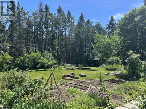 2756 County Road 38 Douro-dummer ON K0L 3A0