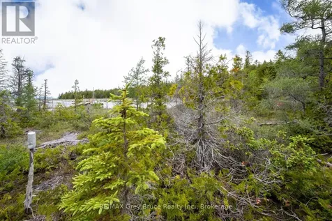 149 Robert Allen Drive Northern Bruce Peninsula ON N0H 2R0