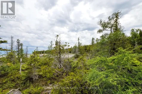 149 Robert Allen Drive Northern Bruce Peninsula ON N0H 2R0