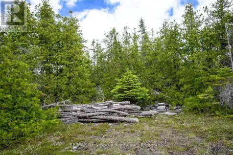 149 Robert Allen Drive Northern Bruce Peninsula ON N0H 2R0