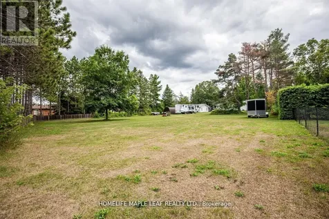 6168 County Road 9 Clearview ON L0M 1N0