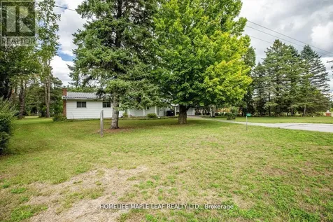 6168 County Road 9 Clearview ON L0M 1N0