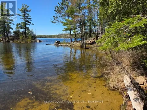 860 Mazinaw Lake Addington Highlands ON K0H 1K0