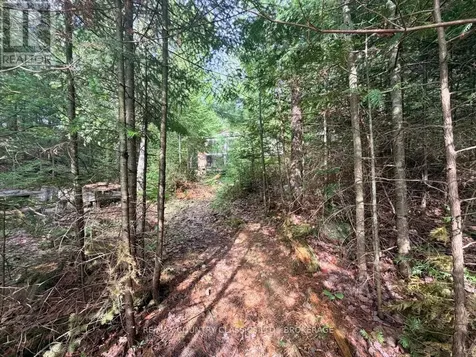 860 Mazinaw Lake Addington Highlands ON K0H 1K0