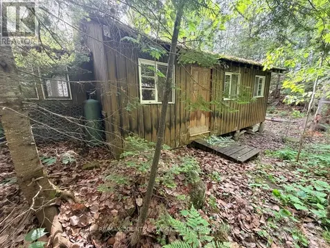 860 Mazinaw Lake Addington Highlands ON K0H 1K0