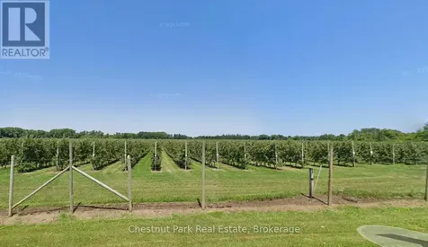 Pt Lt 31 Sideroad 30 Blue Mountains ON N0H 2P0