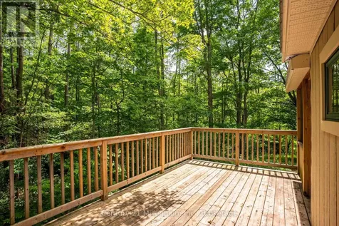 24784 Holland Sydenham Townline Chatsworth ON N0H 1E0