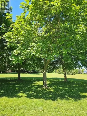 14 Rose Garden Street Kitchener ON N2B 3T1
