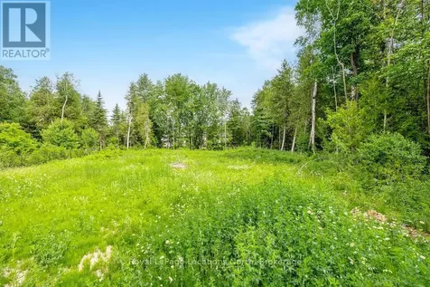Lot 95 Robinson Road Wasaga Beach ON L9Z 3A6