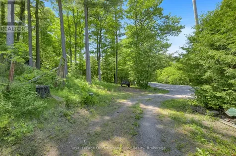 14231 Little Lake Road Cramahe ON K0K 1H0