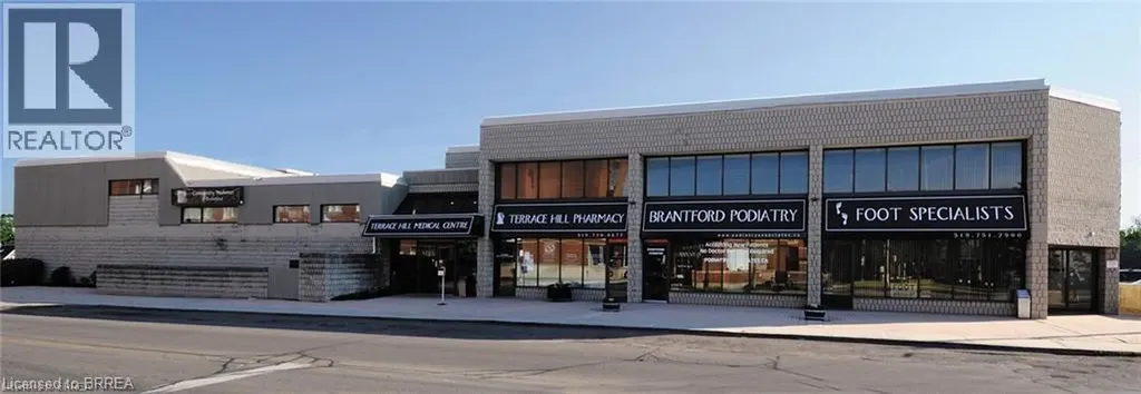 217 Terrace Hill Street Brantford ON N3R 1G8