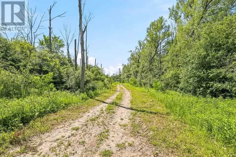 00 Bickle Hill Road Hamilton Township ON K9A 4J7