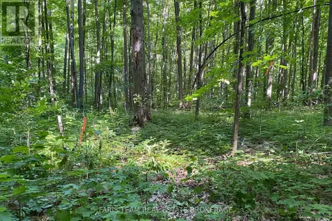418 Concession 13 Road East Tiny ON L9M 2H7
