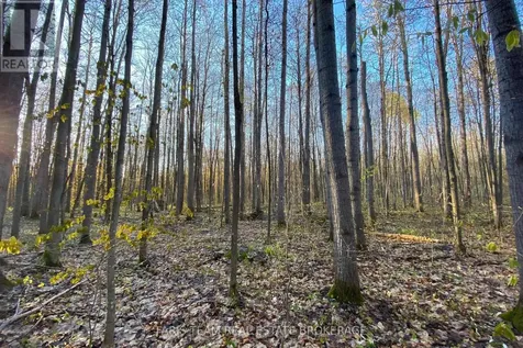 418 Concession 13 Road East Tiny ON L9M 2H7