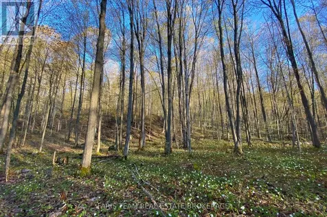 418 Concession 13 Road East Tiny ON L9M 2H7