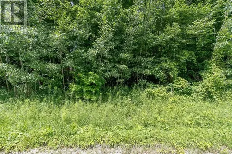 418 Concession 13 Road East Tiny ON L9M 2H7