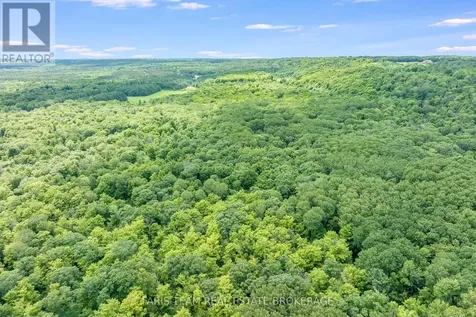 418 Concession 13 Road East Tiny ON L9M 2H7