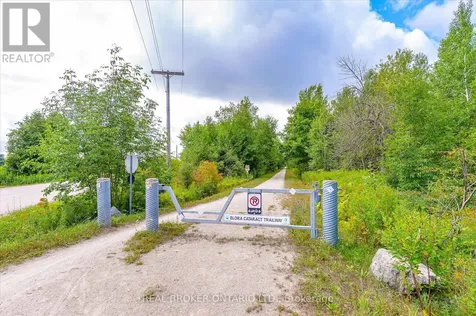 165 Cedar Crescent Centre Wellington ON N1M 2W5