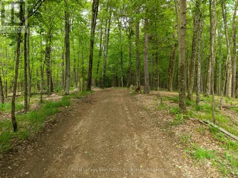 5301 Hwy 620 Highway Wollaston ON K0L 1P0
