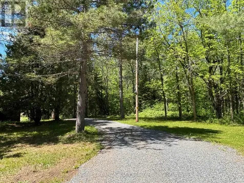 2913 Highway 11 Highway North Temagami ON P0M 1T0