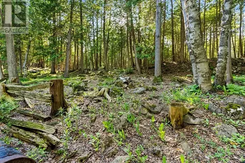 609 Stokes Bay Road Northern Bruce Peninsula ON N0H 2M0