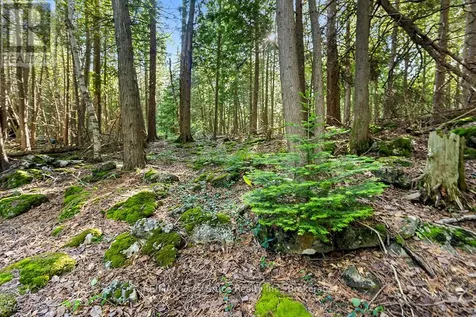 609 Stokes Bay Road Northern Bruce Peninsula ON N0H 2M0