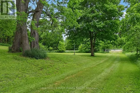 2362 Concession Road 2 Adjala-tosorontio ON L0N 1P0